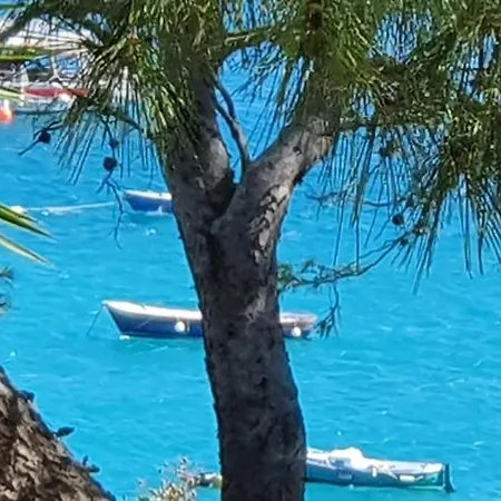 Isole Tremiti - I Tre Miti Villa *